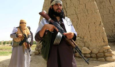 Ахмад Масуд - Талибы* намерены создать совет для управления Афганистаном - newizv.ru - Афганистан