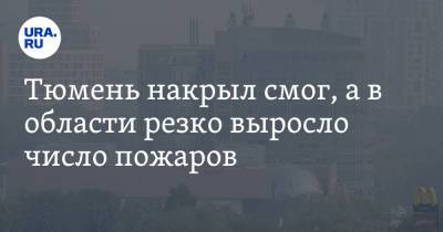 Тюмень накрыл смог, а в области резко выросло число пожаров. Фото - ura.news - Тюмень - Тюменская обл.