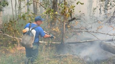 Природный пожар под Первоуральском разгорается. Выгорело уже 760 гектаров леса (ФОТО) - newdaynews.ru - Первоуральск