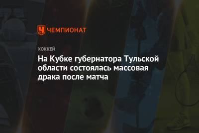 На Кубке губернатора Тульской области состоялась массовая драка после матча - championat.com - Вашингтон - Тульская обл.