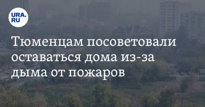 Тюменцам посоветовали оставаться дома из-за дыма от пожаров - ura.news - Россия - Тюмень - Тюменская обл. - Курганская обл. - район Тюменский