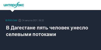 В Дагестане пять человек унесло селевыми потоками - interfax.ru - Москва - Россия - Санкт-Петербург - респ. Дагестан - район Левашинский