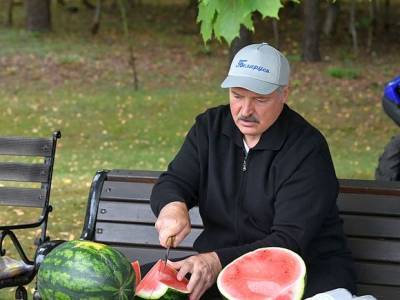 Александр Лукашенко - Саммит ОДКБ помешал Лукашенко лично собрать урожай арбузов - rosbalt.ru - Белоруссия - Германия - Польша - Афганистан