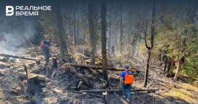В Башкирии увеличилась площадь лесных пожаров - realnoevremya.ru - Башкирия - респ. Марий Эл