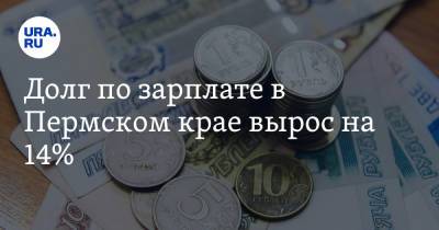 Долг по зарплате в Пермском крае вырос на 14% - ura.news - Пермь - Пермский край