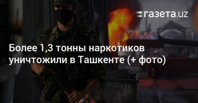 Более 1,3 тонны наркотиков уничтожили в Ташкенте (+ фото) - gazeta.uz - Узбекистан - Афганистан - Ташкент