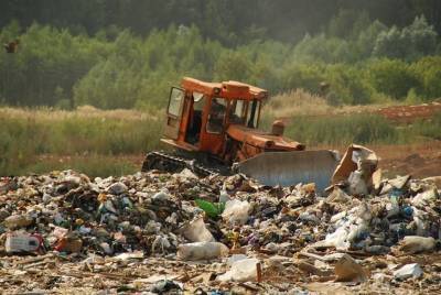 Власти Новосибирска намерены ликвидировать мусорный полигон рядом с Пашино - runews24.ru - Новосибирск