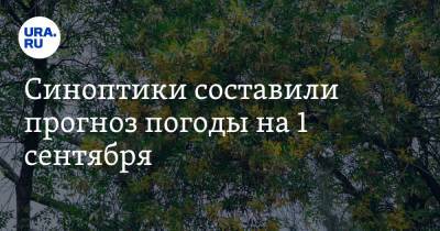 Александр Шувалов - Синоптики составили прогноз погоды на 1 сентября - ura.news - Москва - Красноярский край - Московская обл. - Алтайский край - Новосибирская обл.