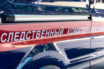 Россиянина посадили на цепь в гараже из-за долга перед фермером - lenta.ru - Россия - Томская обл. - район Первомайский