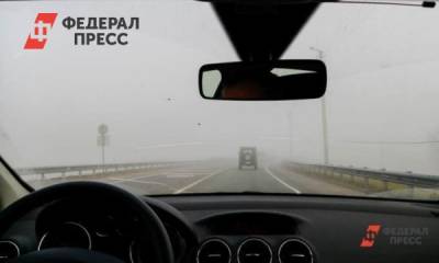 Причиной смога в Тюмени стали лесные пожары - fedpress.ru - Тюмень - Тюменская обл. - Курганская обл.