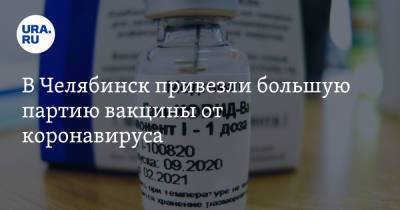 В Челябинск привезли большую партию вакцины от коронавируса - ura.news - Россия - Челябинская обл. - Челябинск