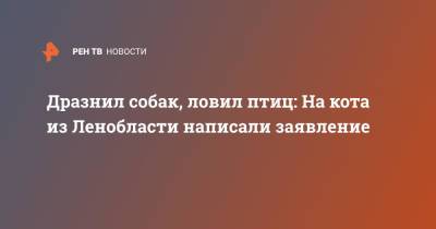 Евгений Попов - Дразнил собак, ловил птиц: На кота из Ленобласти написали заявление - ren.tv - Ленинградская обл.