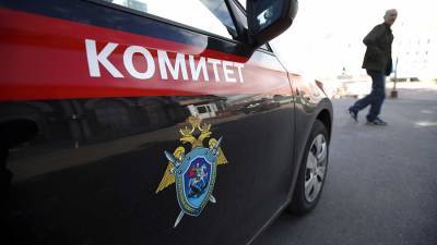 СКР начал расследование пропажи восьми детей в Тюмени - iz.ru - Россия - Израиль - Тюмень