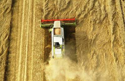 Аграрии Херсонщины собрали рекордный урожай ранних зерновых - agroportal.ua - Украина - Херсонская обл. - Херсонская Область