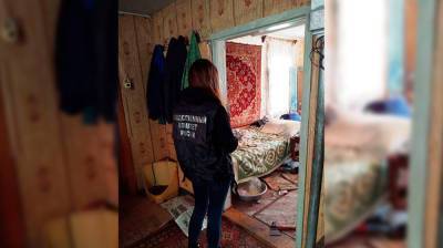 В Воронежской области пенсионер зарубил гостя топором - vestivrn.ru - Россия - Воронежская обл.