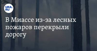 В Миассе из-за лесных пожаров перекрыли дорогу - ura.news - Челябинская обл. - Челябинск - Миасс