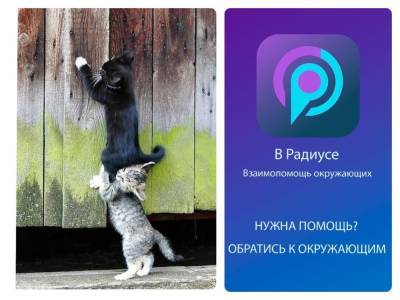 В Новосибирске заработало мобильное приложение для взаимопомощи людей - runews24.ru - Новосибирск