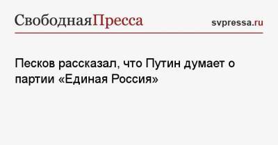 Владимир Путин - Дмитрий Песков - Песков рассказал, что Путин думает о партии «Единая Россия» - svpressa.ru - Россия - США