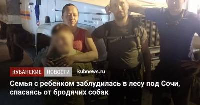 Семья с ребенком заблудилась в лесу под Сочи, спасаясь от бродячих собак - kubnews.ru - Сочи - Краснодарский край - Ставрополь