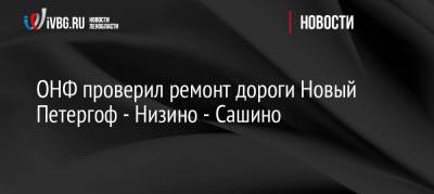 ОНФ проверил ремонт дороги Новый Петергоф — Низино — Сашино - ivbg.ru - Россия - Украина - Ленинградская обл. - район Ломоносовский