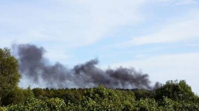 В Пензенской области огонь уничтожил более 126 га леса - penzainform.ru - Пензенская обл.
