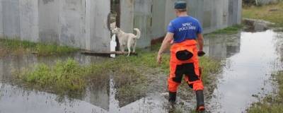 Паводок в Хабаровском крае: подтоплено около 30 домов и более 1,5 тысячи дач - runews24.ru - Хабаровский край - Хабаровск - Комсомольск