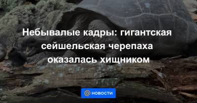 Небывалые кадры: гигантская сейшельская черепаха оказалась хищником - news.mail.ru
