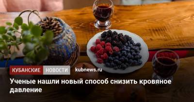 Ученые нашли новый способ снизить кровяное давление - kubnews.ru