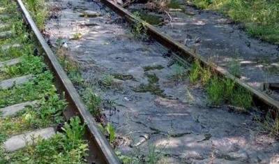 Дети играют с огнём: тюменка рассказала о битумной луже, до которой никому нет дела - nashgorod.ru - Тюмень - Тюменская обл. - Экология