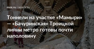 Андрей Бочкарев - Тоннели на участке «Мамыри» — «Бачуринская» Троицкой линии метро готовы почти наполовину - mos.ru - Москва - Строительство