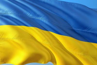 В Киеве мужчина попытался совершить самосожжение на параде - mk.ru - Украина - Киев - Молдавия - Грузия - Эстония - Литва - Дания - Латвия