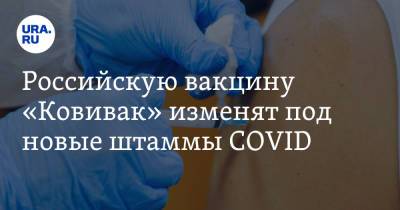 Александр Чепурнов - Российскую вакцину «Ковивак» изменят под новые штаммы COVID - ura.news - Россия
