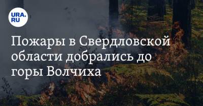 Евгений Куйвашев - Пожары в Свердловской области добрались до горы Волчиха. Видео - ura.news - Екатеринбург - Пермь - Свердловская обл. - Пермский край