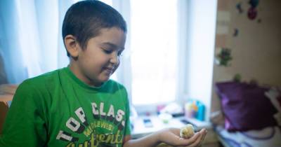 10-летний мальчик из Калининграда помог родителям накопить на ипотеку, разводя птенцов в хрущёвке - klops.ru - Калининград