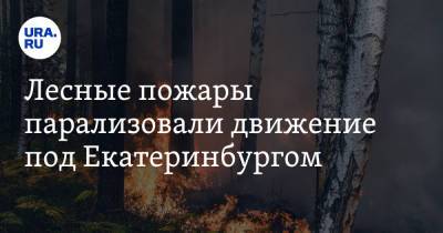 Лесные пожары парализовали движение под Екатеринбургом. Видео - ura.news - Екатеринбург - Пермь - Свердловская обл. - Первоуральск