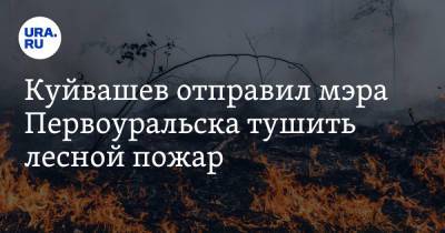 Евгений Куйвашев - Куйвашев отправил мэра Первоуральска тушить лесной пожар - ura.news - Екатеринбург - Пермь - Первоуральск