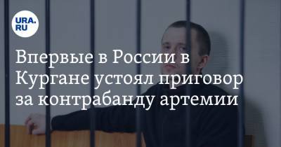 Впервые в России в Кургане устоял приговор за контрабанду артемии - ura.news - Россия - Курган - Таиланд
