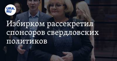 Людмила Бабушкина - Избирком рассекретил спонсоров свердловских политиков - ura.news