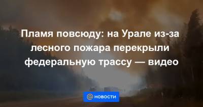 Пламя повсюду: на Урале из-за лесного пожара перекрыли федеральную трассу — видео - news.mail.ru - Екатеринбург - Пермь - Свердловская обл. - Первоуральск