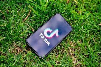 Технологию TikTok для удаления незаконного контента предложили распространить на Россию - pnp.ru - Россия - США - Канада