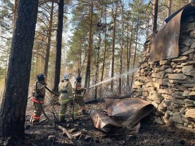 В Миассе за день произошло несколько природных пожаров - znak.com - Миасс