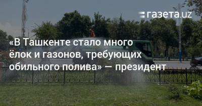 Шавкат Мирзиеев - Шерзод Асадов - «В Ташкенте стало много ёлок и газонов, требующих обильного полива» — президент - gazeta.uz - Узбекистан - Ташкент - Экология