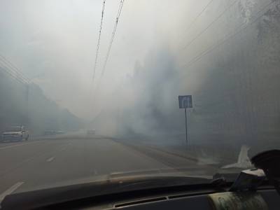 Власти Миасса: семь пожаров, возникших одновременно, могут быть поджогами - znak.com - городское поселение Миасский