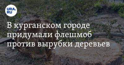 В курганском городе придумали флешмоб против вырубки деревьев - ura.news - Шадринск