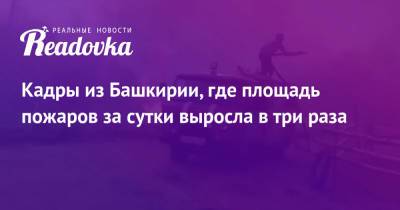 Радий Хабиров - Кадры из Башкирии, где площадь пожаров за сутки выросла в три раза - readovka.news - Башкирия