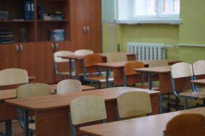 Петербургские школы готовы к смешанному формату обучения - abnews.ru - Россия - Санкт-Петербург
