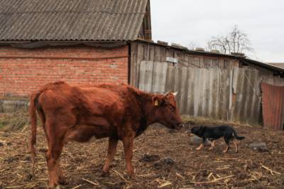 Ингушетия и Кабардино-Балкария вошли в число регионов с наибольшим уровнем бедности - etokavkaz.ru - Москва - Россия - Ленинградская обл. - Санкт-Петербург - Московская обл. - респ. Ингушетия - Нижегородская обл. - Белгородская обл. - респ. Алтай - Воронежская обл. - Калужская обл. - Свердловская обл. - Курская обл. - Ярославская обл. - респ. Кабардино-Балкария