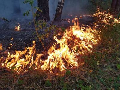 В Свердловской области из-за пожаров превышены ПДК диоксида серы и диоксида азота - znak.com - Свердловская обл. - Первоуральск
