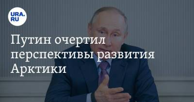 Владимир Путин - Марат Хуснуллин - Путин очертил перспективы развития Арктики - ura.news - Россия