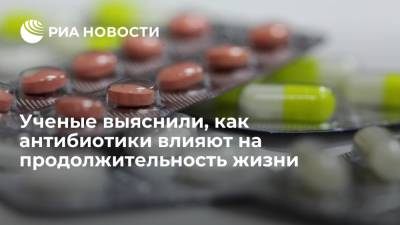 Ученые выяснили, как антибиотики влияют на продолжительность жизни - ria.ru - Москва - Австралия